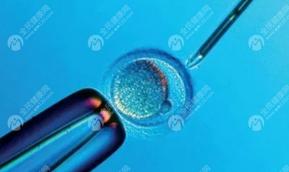 融合胚胎移植一般都会成功吗？