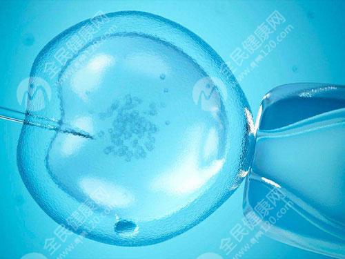 拮抗剂方案胚胎培育成功后为什么要等两个月才能移植？