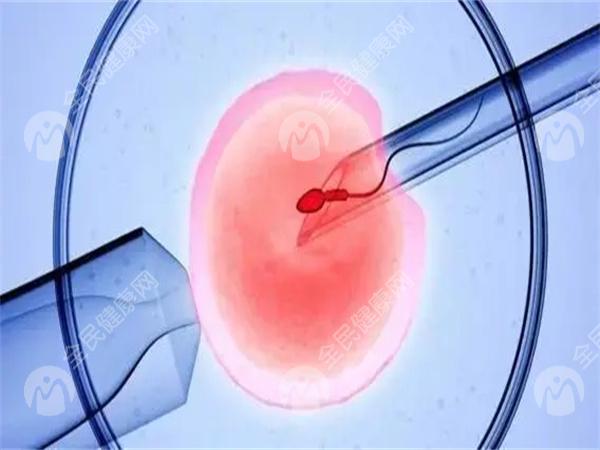 输卵管堵塞怎么治疗？花费多少钱？