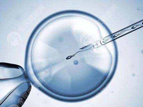 泉州做试管婴儿胚胎移植手术多少钱一次？有哪些流程步骤？