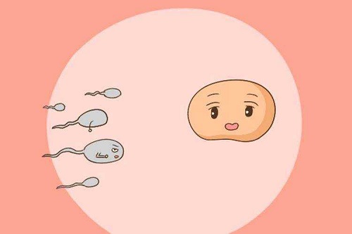 郑州不需要结婚证试管医院靠谱吗？