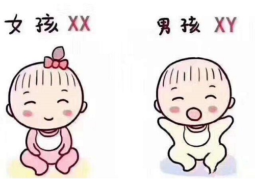 2022不孕不育治疗费用，能否纳入医保报销范围(不孕不育 排名)