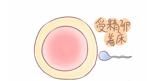 试管婴儿移植后有褐色分泌物正常吗？