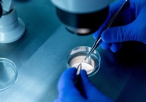 试管婴儿的“水太深”应该如何成功