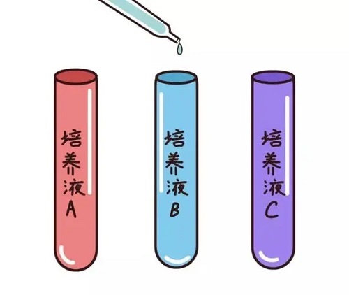 试管婴儿期间，能做哪些运动？