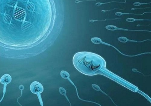 2023上海第三代试管婴儿医院哪家好？