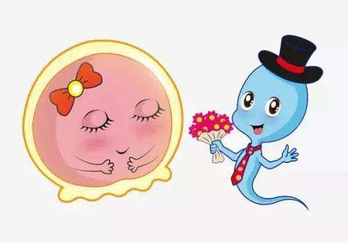 2022绍兴试管婴儿医院有哪些费用是多少