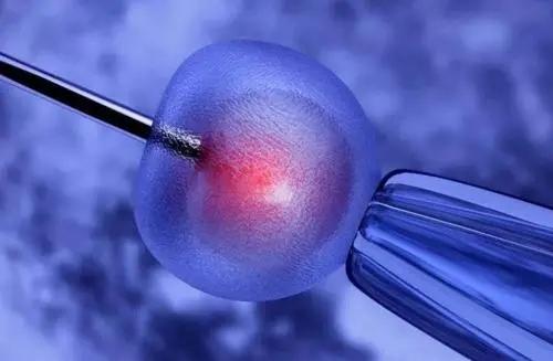5G如何赋能IVF？大数据时代下的第四代试管婴儿