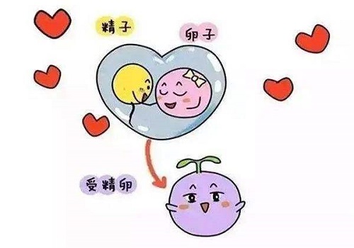 36岁能做试管婴儿吗 多少岁做试管婴儿比较合适