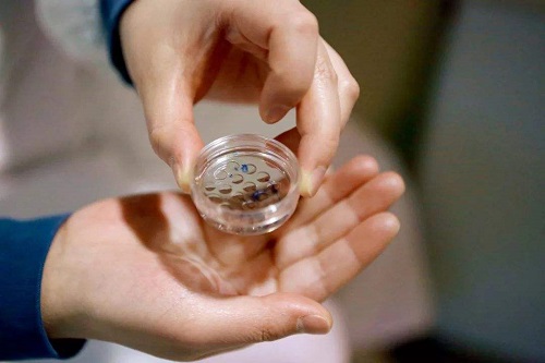 45岁试管婴儿成功率，成功率到底是多少？