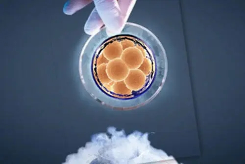 试管婴儿移植反复失败的原因是什么？导致胚胎移植失败的因素 ...