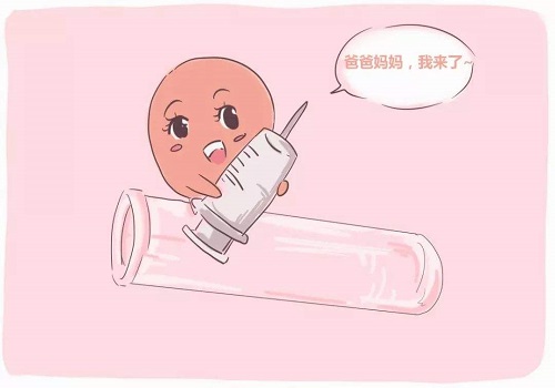 试管婴儿冻胚移植与试管移植是什么啊？