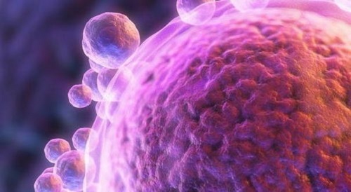 2022年，深圳正规试管助孕机构有哪几家(2022年深圳正月十五灯会)