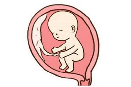 2023上海试管婴儿哪家医院较好？
