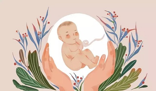 2022年试管婴儿费用明细