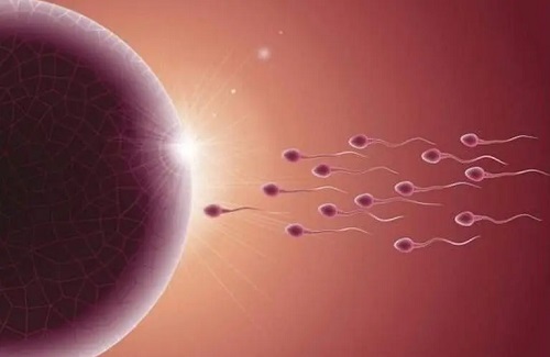 20岁做试管婴儿成功率高吗？20岁可以做试管婴儿吗