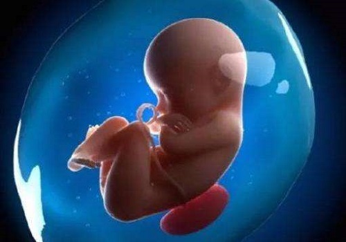 2021年试管婴儿成功率是多少？试管婴儿前期要准备多久？