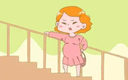 10个提高试管婴儿成功率的方法