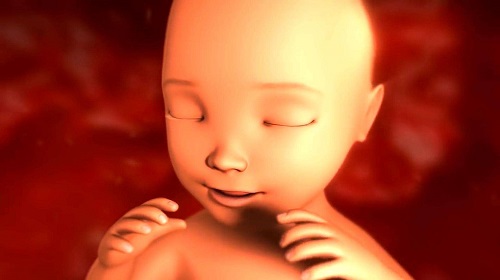 试管婴儿移植成功感觉？准妈妈们也会害喜