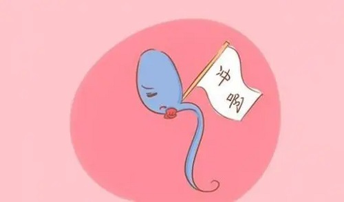 33岁AMH值多少正常，33岁可以做试管婴儿吗？