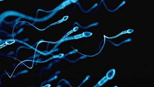 2022高龄产妇做试管婴儿怀助孕为什么一定需要减胎(2021高龄产妇)