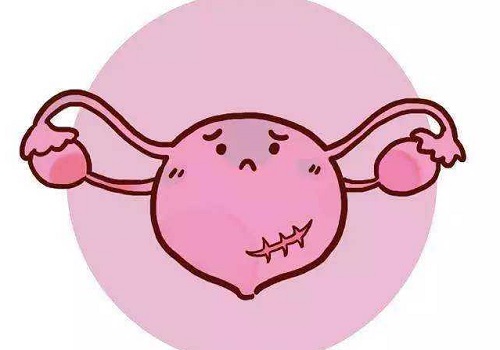 试管婴儿成功率有多少？如何提高试管婴儿的成功率