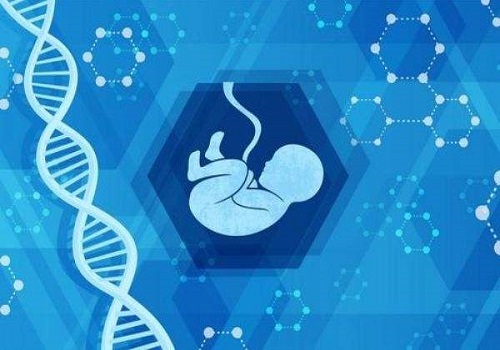 试管婴儿是在试管里长大吗？适合做试管婴儿的不孕人群
