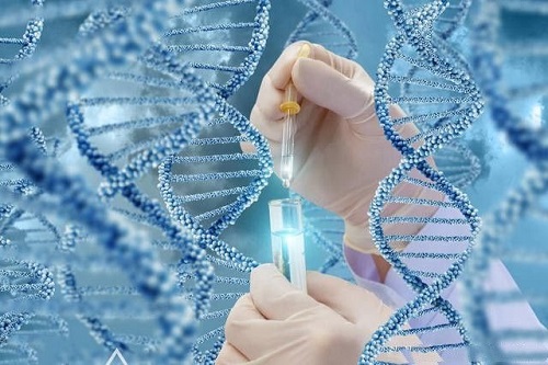 试管婴儿的成功率如何提高？或许这些方案会更有效！