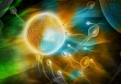 试管婴儿宫腔镜手术后要注意什么？