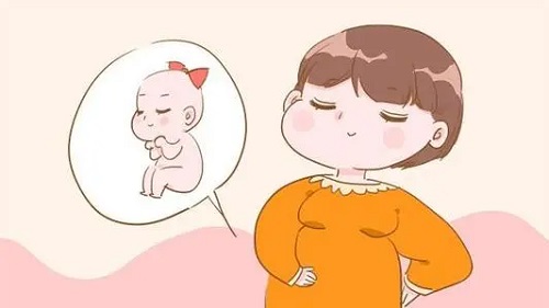 试管婴儿怎么做的全过程？试管婴儿哪个步骤最疼