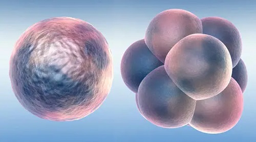 2025泰国试管婴儿指南：挑选宝宝，满足个性化生育愿望