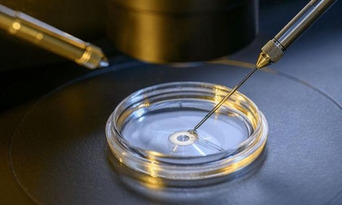 深圳新生儿入户预约服务启动，线上线下操作流程各异