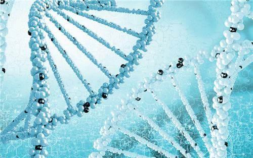 阳江女性不孕试管婴儿可能性及判断标准