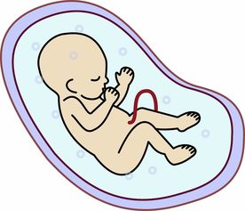 泰国试管婴儿费用解析：两次移植全流程22万真实开销揭秘