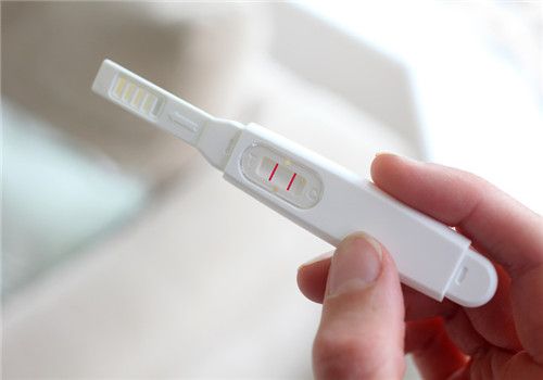 泰国试管婴儿全程攻略：初诊至移植环节详解