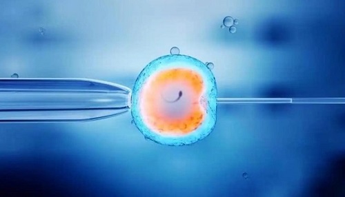 2025年试管婴儿费用一览及明细分析
