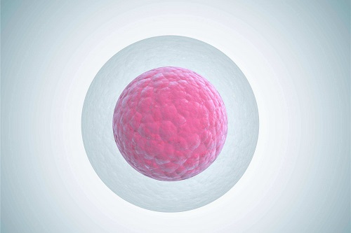 试管婴儿治疗多囊卵巢综合症成功率如何？常用方案有哪些？