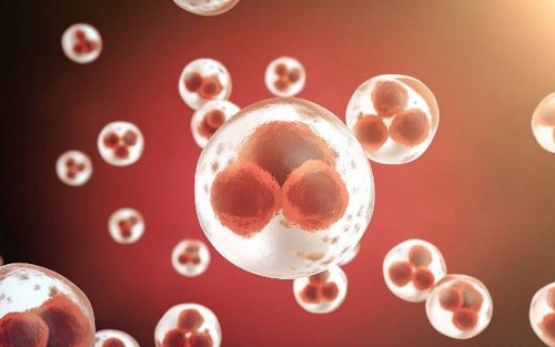 泰国试管婴儿医院攻略：揭秘高效怀孕捷径