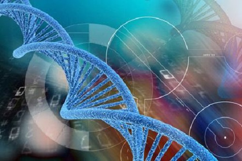 怀孕前体重增加是否预示着怀孕？