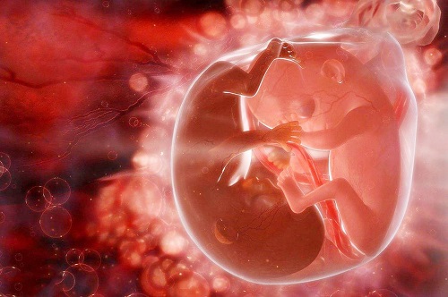 2025年试管婴儿必查项目一览，**通用的检查内容全解析