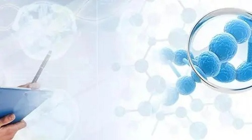 子宫腺肌症挑战后试管婴儿成功,喜获好孕