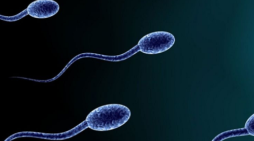 试管建档费用一览及挂号流程详解