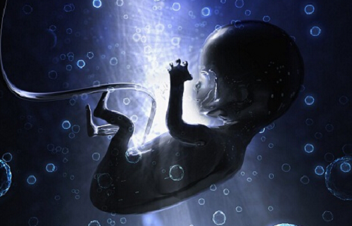 扬州试管婴儿海外方案，2026年生殖技术排名解析