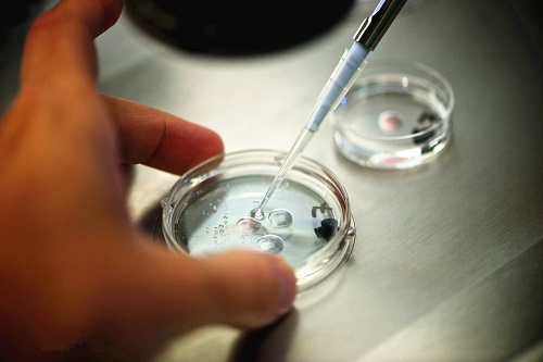 试管婴儿助孕经历:两次促排三次移植终获成功