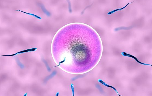 泰国顶尖试管婴儿医院推荐