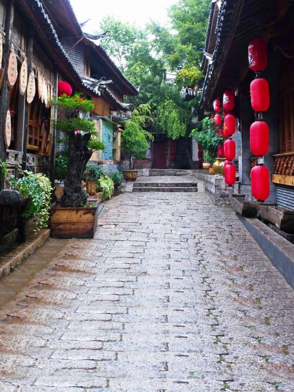 去东京做NK细胞疗法大概费用是多少？来看看真实案例与价格揭秘