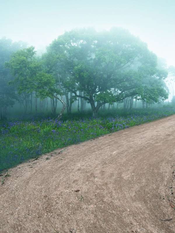 东京再生医疗对肾移植后免疫调节是否有用？专家这样解读