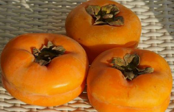 有哪些水果伤胃