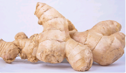 通气血的食物有哪些