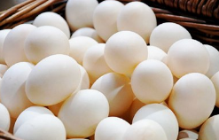 常见的营养和饮食的误解有哪些